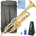 YAMAHA ヤマハ 5年保証サポート対象 YTR-3335 トランペット B♭ リバースタイプ ラッカー ゴールド セットP 以下は対応不可 北海道 沖縄 離...
