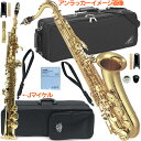 YAMAHA ヤマハ アンラッカー特有色味 5年保証対象 YTS-62UL テナーサックス アンラッカー unlacquer セットA 以下は対応不可 北海道 沖縄 離島 代引き
