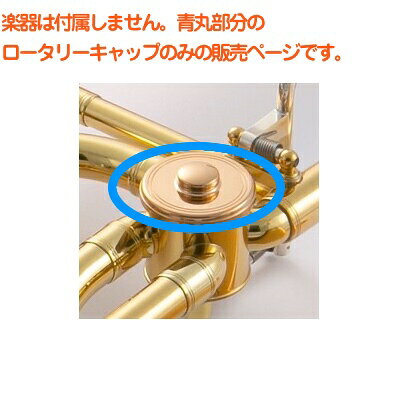 YAMAHA ヤマハ ロータリーキャップ フォスファーブロンズ 1個 VFA01700 SL823GD ゴ...