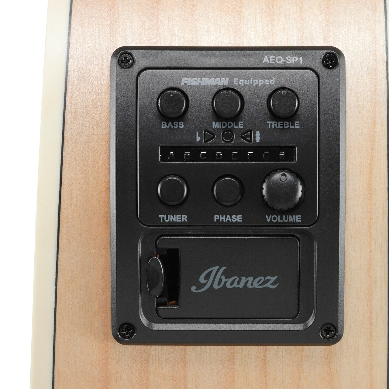 Ibanez アイバニーズ PN29E OPN アウトレット 特価品 アコースティックギター エレ...