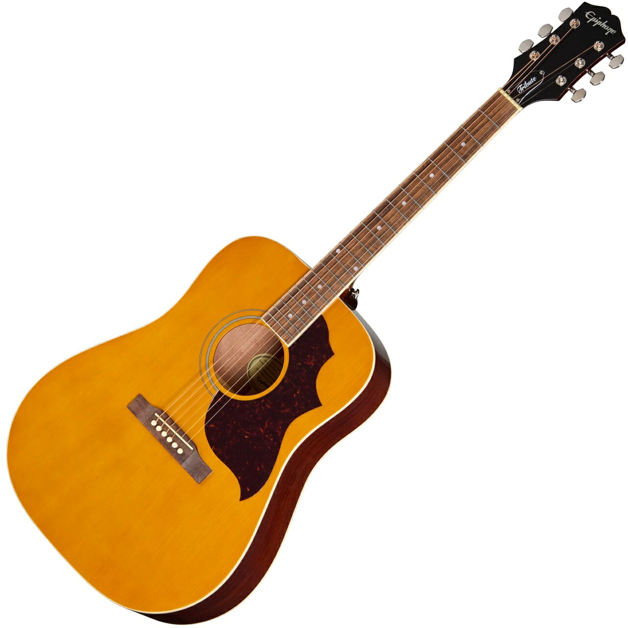 楽天市場】エピフォン hummingbird pro fcの通販