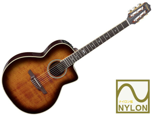 TAKAMINE ( タカミネ ) DMP670NC VTS ◆ エレアコ ( ピックアップ搭載 アコースティックギター )