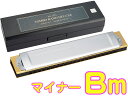 TOMBO ( トンボ ) 1521 Bm 特製 トンボバンド 複音ハーモニカ 21穴 No.1521 日本製 トレモロ 木製ボディ Tremoro Harmonica リード楽器 マイナー　北海道 沖縄 離島不可