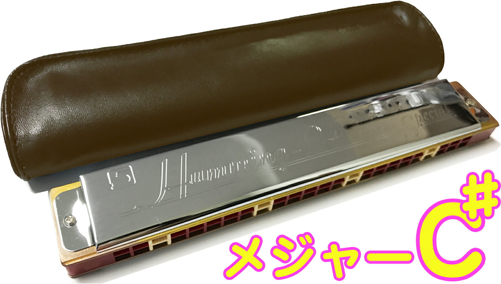 SUZUKI ( スズキ ) Humming-24 C♯ 24穴 複音ハーモニカ 高級スズキ ハミング 樹脂ボディ 楽器 長調 Cシャープ major Trem...