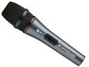 SENNHEISER ゼンハイザー e865S ◆ コンデンサーマイク スーパーカーディオイド スイッチ有り【e 865-S】