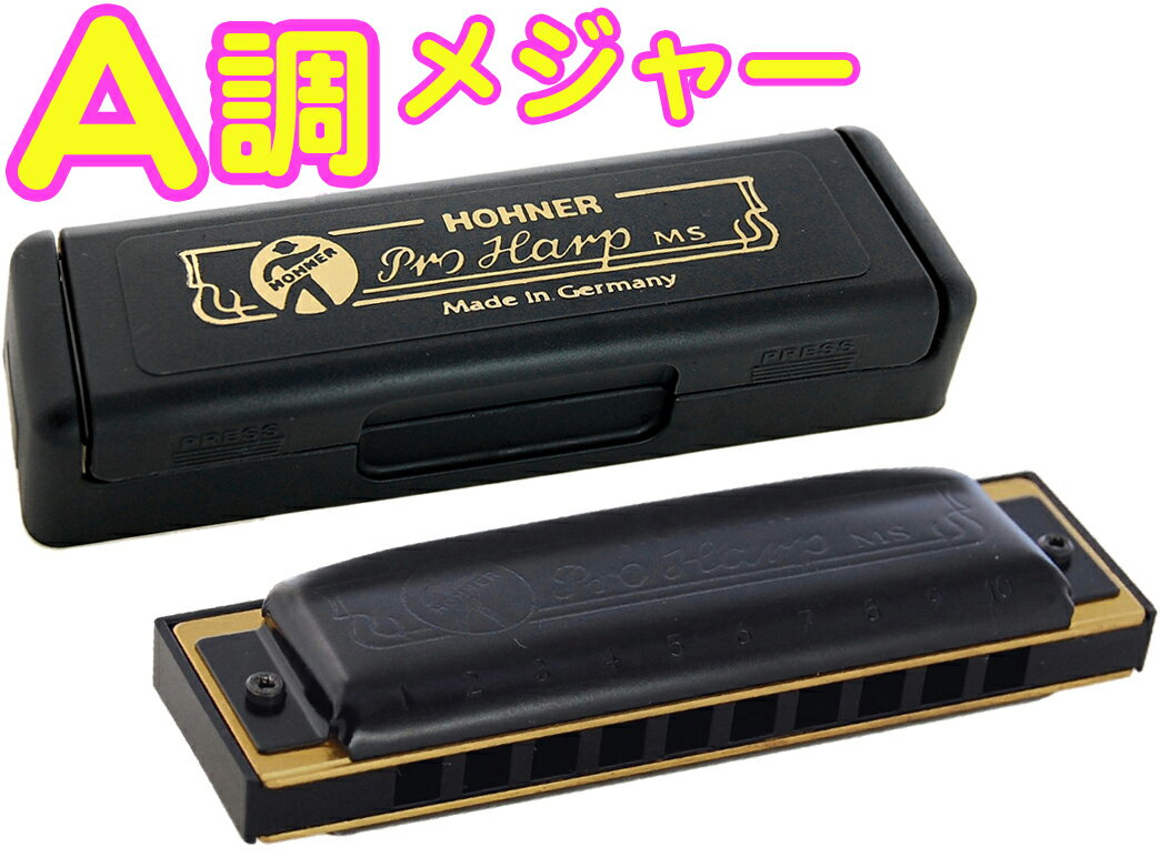 HOHNER ホーナー プロハープ A調 562/20 10穴 ハーモニカ Pro Harp MS ブルースハープ テンホールズ ハーモニカ ブラック 樹脂ボデ...