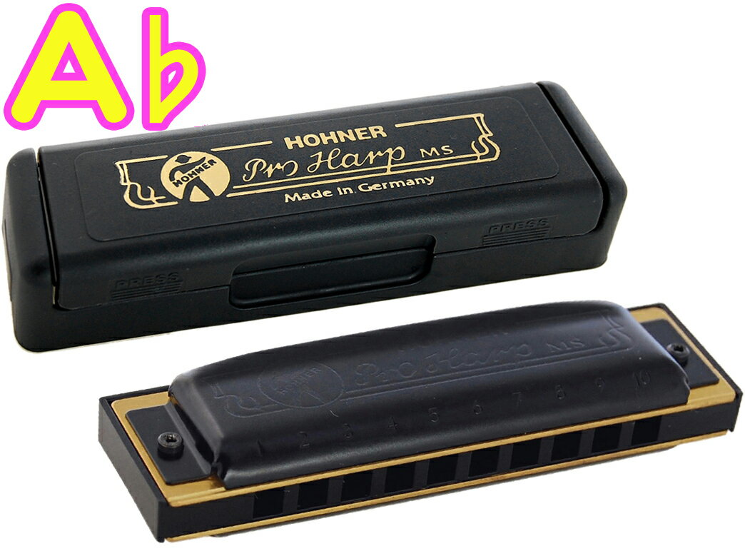 HOHNER ホーナー プロハープ A♭ 562/20 10穴 ハーモニカ Pro Harp MS ブルースハープ テンホールズ ハーモニカ ブラック 樹脂ボデ...