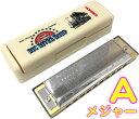 HOHNER ( z[i[ ) Big River Harp A MS 590/20 10 rbOo[n[v u[Xn[v^ 10Holes blues harmonica@kC  s