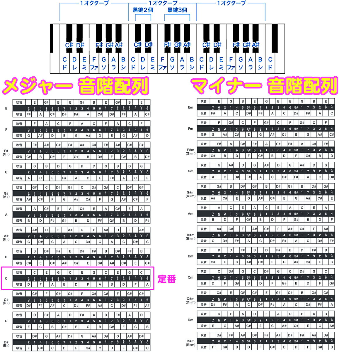 TOMBO ( トンボ ) 1921S A調 イワサキソロ 超特級 21穴 複音ハーモニカ No.1921S 岩崎重昭 日本製 tremolo harmonica 楓 木製ボディ　北海道 沖縄 離島不可