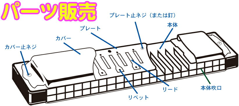 パーツになりますのでお取り寄せにはお時間を頂く場合がございます。ご注文後のキャンセルはできませんので御了承のうえご注意下さい。 &nbsp;またリードは調整なしで設置できません。微調整は技術を要します。ご返品、ご交換、一切出来かねます。 &nbsp; &nbsp; トンボ 複音ハーモニカ No.3121 トンボバンド 21穴の専用リードプレートです。 リードプレートの交換のみでしたら、同メーカーから発売されているNo.6013のハーモニカ簡易修理工具を使ってご交換が可能ですが、設置後はあげみの調整をし、トレモロの具合などを調整する必要があります。シングルリードのハーモニカに比較し、ダブルリードはさらに難しい調整になります。付け替えれば演奏ができる訳ではありません。知識のある方のご交換をお勧めいたします。 &nbsp; TOMBO BAND Tremoro Tune Harmonica tonbo band 3121 reed plate　トンボ楽器製作所 トンボバンド21 トレモロハーモニカ リードプレート No.3121 ■21穴 複音ハーモニカ用 交換パーツ ■調子ラインナップ：C調、C♯調 G調 G♯調 A調 A♯調 Cマイナー(Cm) Gマイナー(Gm) Aマイナー(Am)※止めネジなどは別売りです。 ご希望の際はお問い合わせ下さい。