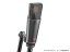 NEUMANN ( Υޥ ) TLM193  ֥å ڹ 3ǯݾڡ ǥ󥵡ޥڡ TLM 193 ϡ