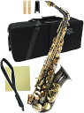 J Michael ( Jマイケル ) AL-900B アルトサックス 新品 アウトレット ブラック 管楽器 黒色 本体 alto saxophone black　北海道 沖縄 離島 同梱 代引き不可