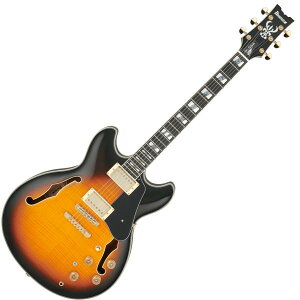 Ibanez アイバニーズ JSM10 VYS ジョン・スコフィールド シグネイチャー John Scofield セミアコ エレキギター