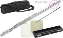 Pearl Flute ( パールフルート ) PF-665E フルート 頭部管 銀製 ドルチェ Eメカニズム カバード Dolce PF665E flute　北海道 沖縄 離島不可