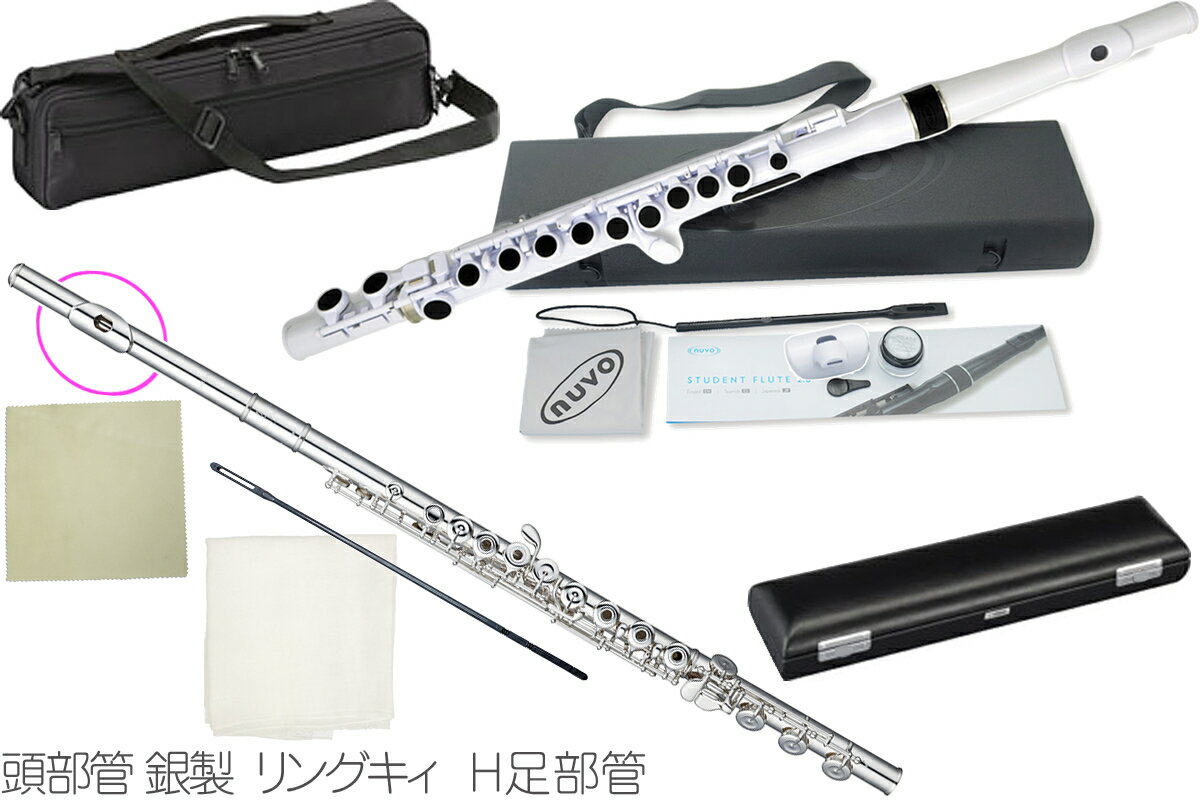 Pearl Flute ( パールフルート ) PF-665RBE H管 リングキィ フルート 頭部管 銀製 ドルチェ オフセット H足部管 Dolce flute Open Hole PF665RBE セット B