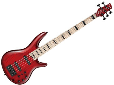 Ibanez ( アイバニーズ ) ANB205 TWB【アダム・ニッティ sig 5弦ベース アウトレット 特価 】【B1 Four プレゼント 秋特価 】