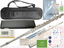 AZUMI あずみ AZ-Z1RE フルート オフセット リングキイ リッププレート 銀製 銀メッキ Eメカニズム アルタススケール flute セット B 北...