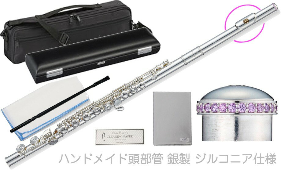 Pearl Flute ( ѡե롼 ) F-DP/E ե롼 إåɥ饦 ᥸ ϥɥᥤƬ  ɥץ...