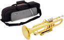 PINSTRUMENTS PTRUMPET1HTG pTrumpet hyTech Gold トラン ...