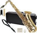 Antigua ( アンティグア ) TS3108 テナーサックス アウトレット スタンダード ラッカー ゴールド 管楽器 tenor saxophone Standard GL gold　北海道 沖縄 離島不可