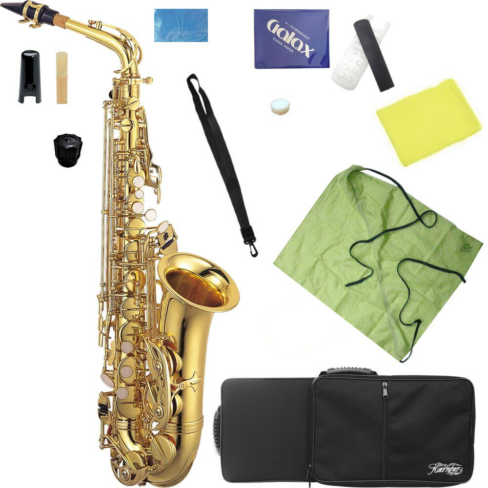 Kaerntner ( ȥʡ ) KAL62 ȥå å  ɳڴ Alto saxophone KAL-62 å D̳ƻ  Υ ƱԲ