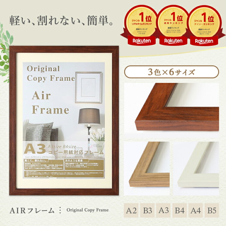 【RSL】額 色紙額 AIRフレーム 額縁 フレーム額 色紙額縁 色紙 額縁 色紙の額 寄せ書き サイン サイン..