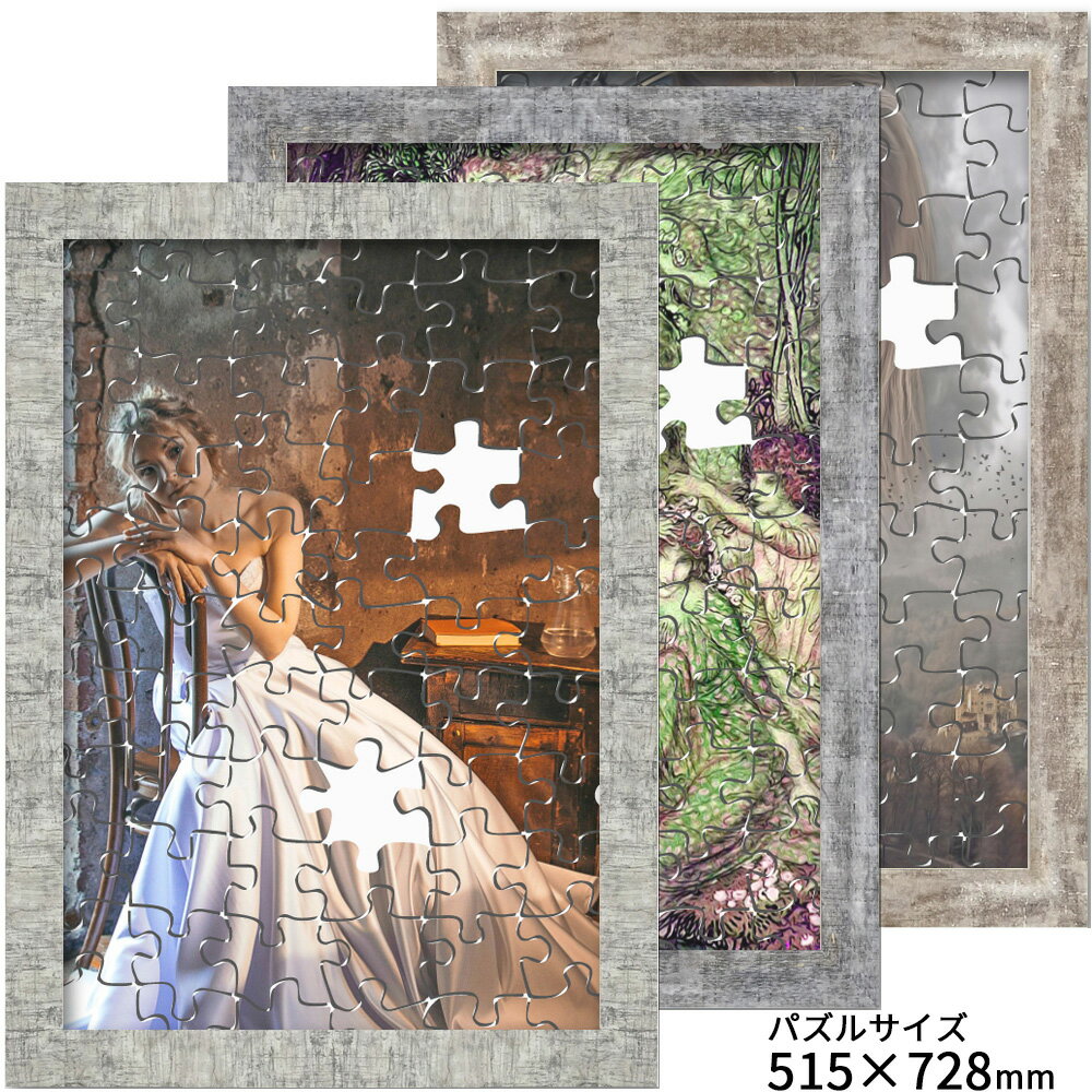 ジグソーパズル額APS-05アクリ...