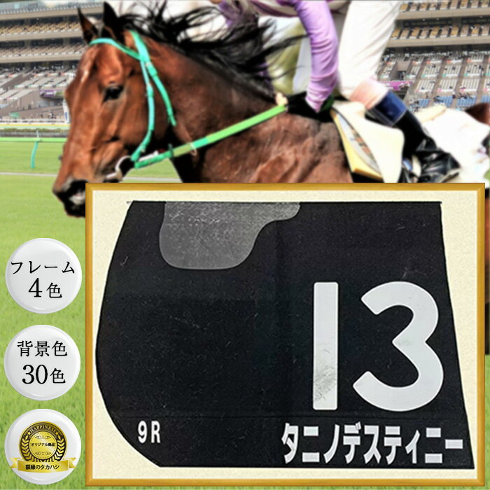 競馬ゼッケン専用額 6700N UVカット強化型アクリル付 /額外寸:約563 745 額内寸:545 727 大全紙 額縁 額 フレーム 紫外線カット uvカット 木製 競馬 馬 好き グッズ プレゼント 雑貨 壁飾り 記…