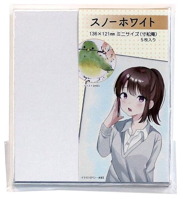 ミニサイズ（寸松庵）スノーホワイト 銀 5枚入り　136×121mm　表面のきめが細かく滑らか　イラスト ミ..