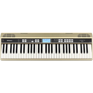 JUSTY HK-100 ハーモニー&リズム練習用キーボード