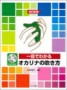 楽譜 一目でわかるオカリナの吹き方(改訂新版)(DVD付)