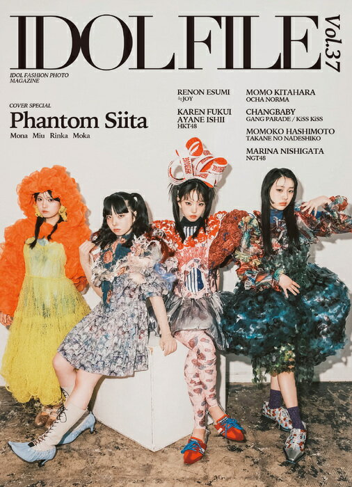 IDOL FILE Vol.37(音楽書)(76329)
