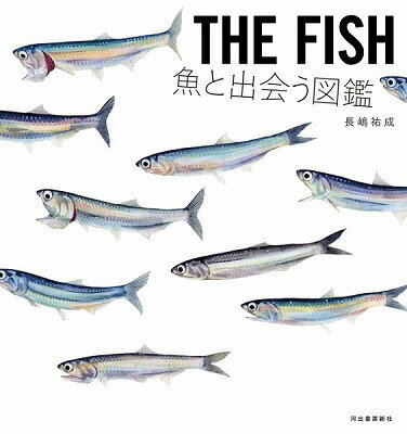 書籍 THE FISH 魚と出会う図鑑【10,000円以上送料無料】(THE FISH サカナトデアウズカン)