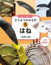 [書籍] これ だれの？ くらべよう！ 