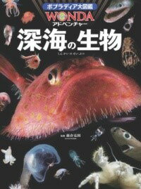 [書籍] 深海の生物【10,000円以上送料