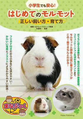  小学生でも安心！はじめてのモルモット正しい飼い方・育て方(ショウガクセイデモアンシンハジメテノモルモットタダシイカイカタソダテカタ)