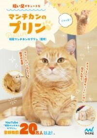 [書籍] 短い足がキュートなマンチカンのプリン【10,000円以上送料無料】(ミジカイアシガキュートナマン..