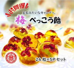 【お得セット】 梅べっこう飴 学問のするめ 24粒入×5Pセット お買得 合格祈願 合格 太宰府天満宮 飴 キャンディ 送料無料 梅 べっこう飴 受験生応援 受験生 プレゼント