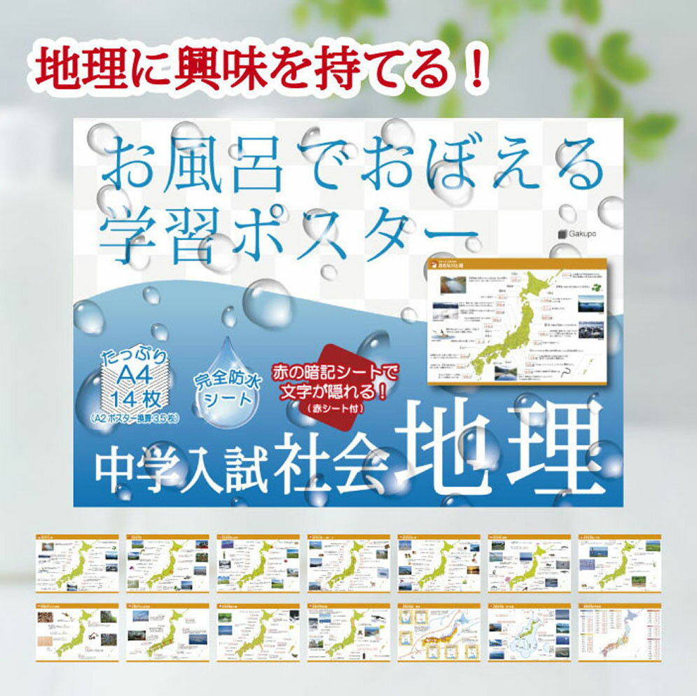 Gakupo お風呂でおぼえる学習ポスター 中学入試 社会地理（暗記シート付）中学受験 白地図 都道府県名 防水