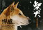 (バーゲンブック) 柴犬 よみがえる縄文犬 1,210円