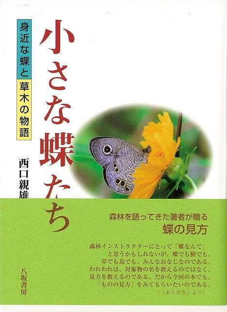 楽天学参ドットコム楽天市場支店（バーゲンブック） 小さな蝶たち-身近な蝶と草木の物語