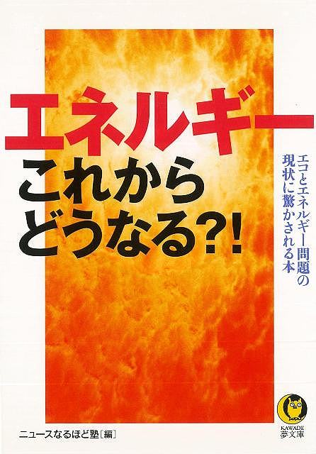 楽天学参ドットコム楽天市場支店（バーゲンブック） エネルギーこれからどうなる?!-KAWADE夢文庫