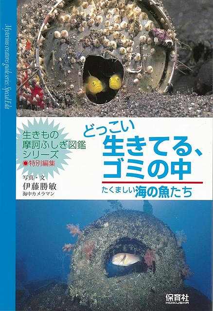 楽天学参ドットコム楽天市場支店（バーゲンブック） どっこい生きてる、ゴミの中 たくましい海の魚たち-生きもの摩訶ふしぎ図鑑シリーズ