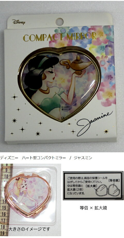 Disney �ǥ����ˡ��ϡ��ȷ�����ѥ��ȥߥ顼