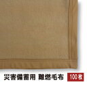 【100枚単位】　災害救助用毛布　災害備蓄用毛布　難燃毛布（防炎毛布タイプ）　災害用真空パック毛布　防災用毛布　防災ブランケット　災害毛布　防災毛布