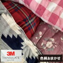 軽量 あったか洗えるシンサレート使用の掛け毛布布団 ちょっと薄めのシンサレート 掛布団 シングル シンサレート暖かさ羽毛の約2倍 シンサレート掛けふとん シ...