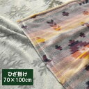 A ひざかけ ひざ掛け毛布 マイクロファイバー ミニケット(70×100cm)ひざ掛け/毛布/ブランケット(3)