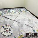 A あったか 堀こたつ用 敷布団 正方形 200×200cm フランネル 堀こたつ用 敷布団 正方形 掘りコタツ用の切り込みタイプ ▼穴あき部分約90×90cm 堀こたつ 敷布団 掘りこたつカーペット 敷布団 堀コタツ用敷き布団 堀りこたつ用敷き布団 掘りごたつ 敷布団