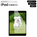 iPad フィルム 10.2 インチ 第10世代 10.9 iPad Air5 第5世代 iPad mini 8.3 第6世代 7.9 iPad 10.5 9....