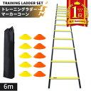 【楽天1位】 リーディングエッジ LEADING EDGE トレーニング ミニハードル 6個 ESTH-030 ＆ トレーニングラダー 6m コーン20枚付き ESTR-001 計2点セット